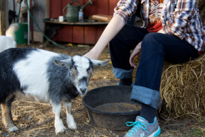 Tennessee Farm Tours