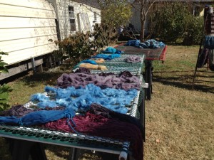 Dyeing demonstrations